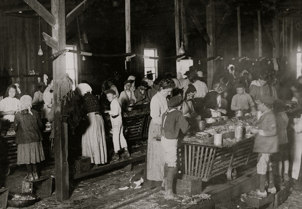 Holding your place before daybreak in the shrimp & oyster canning company 1911