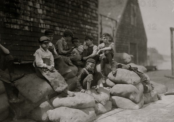 Group of young sardine cutters, Seacoast Canning Co. 1911