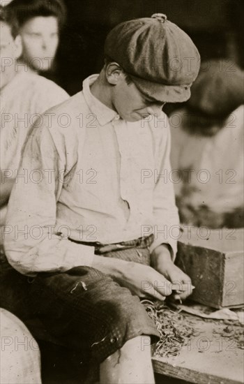 Groups showing a few of the workers stringing beans in the J. S. Farrand Packing Co., Baltimore, Md.  1910