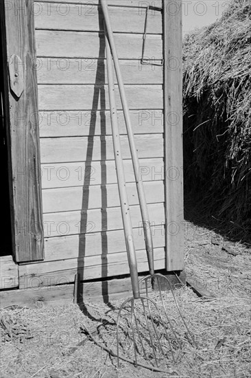 Farming Tools Still Life 1939
