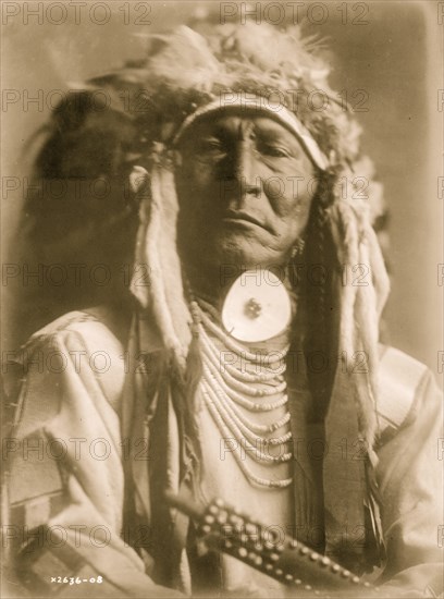 Bear Cut Ear 1910