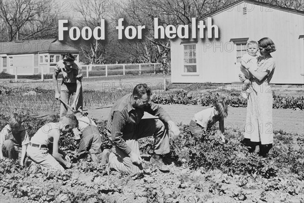 Homegrown food is homegrown wealth.  1936