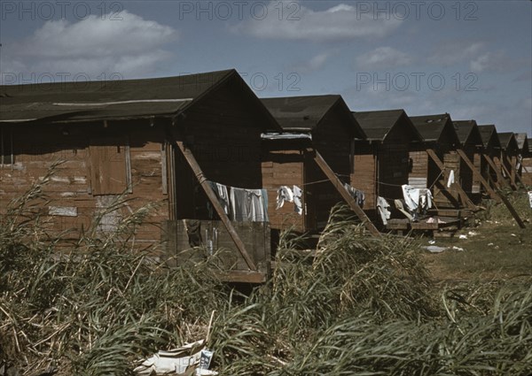 Condemned Black Migratory Worker Homes 1941
