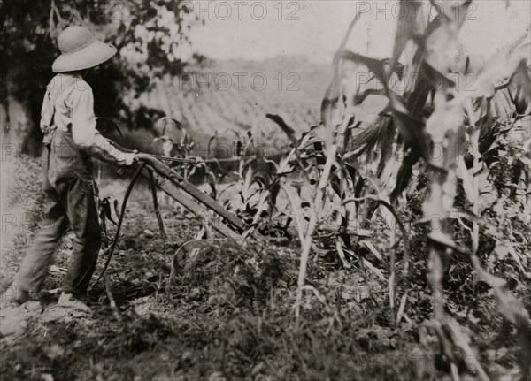 Hugh Oliphant, 12 years old driving a "double-shovel." 1916