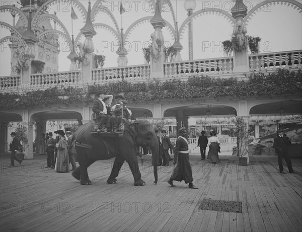 Riding the elephant, Coney Island, N.Y. 1905