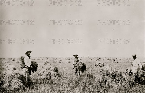 Indians farming on Fort Peck Reservation