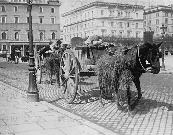 Italian Tour Drivers Sack out on their Carriage in some of the Horses Hay 1912