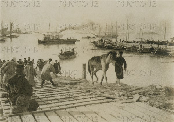 Landing pack ponies at Chemulpo for advance on Seoul 1904