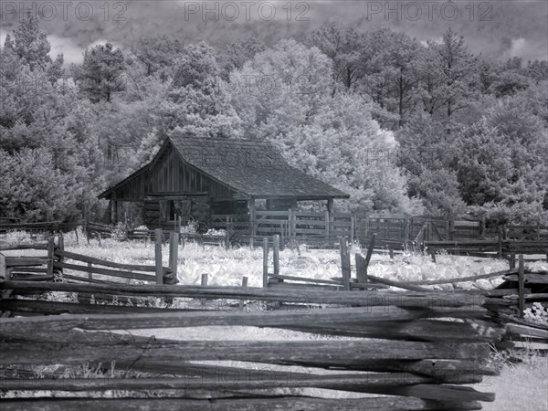 Landmark Park, near Dothan, Alabama 2010