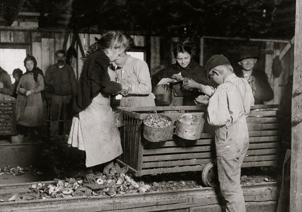 Little Nettie  a regular oyster-shucker in Alabama Canning Co.  1911
