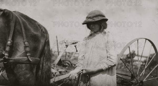 Lucy Saunders hitching the team to the horse rake 1915