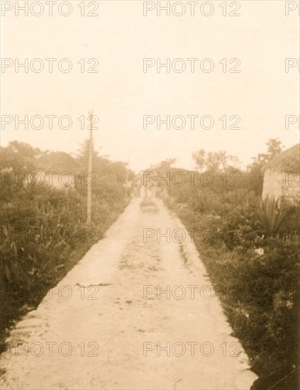 Main road, New Bight, Cat Island 1935