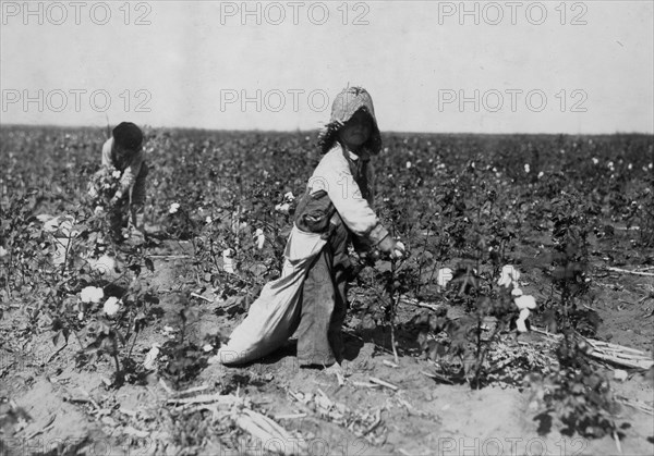 4 year old, picks from10 to 20 pounds of cotton a day. 1916