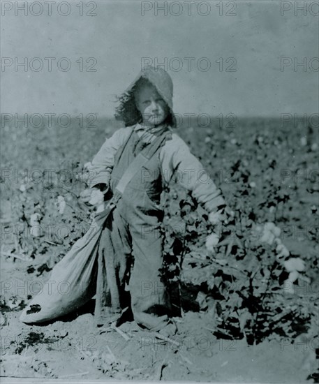 5 year old, picks from10 to 20 pounds of cotton a day.  1916