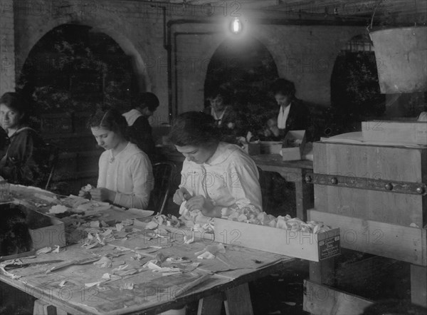 Curling petals & Making carnations. at the Boston Floral Supply Co., 1917