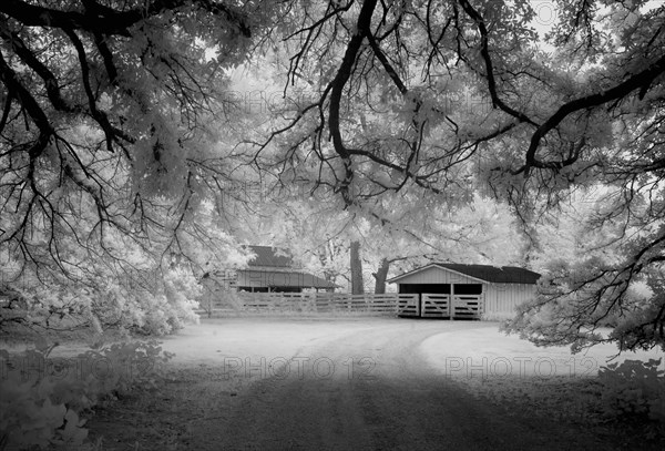 Meadowbank Farm 2010