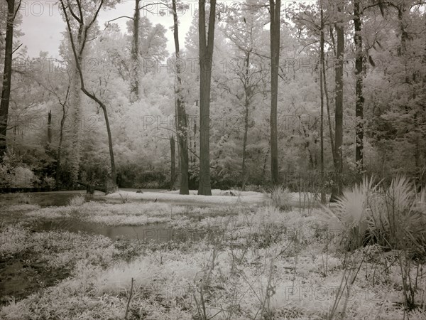 Meadowbank Farm 2010