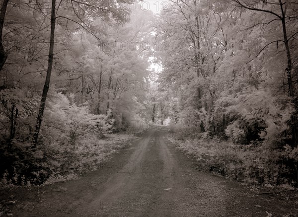 Meadowbank Farm 2010