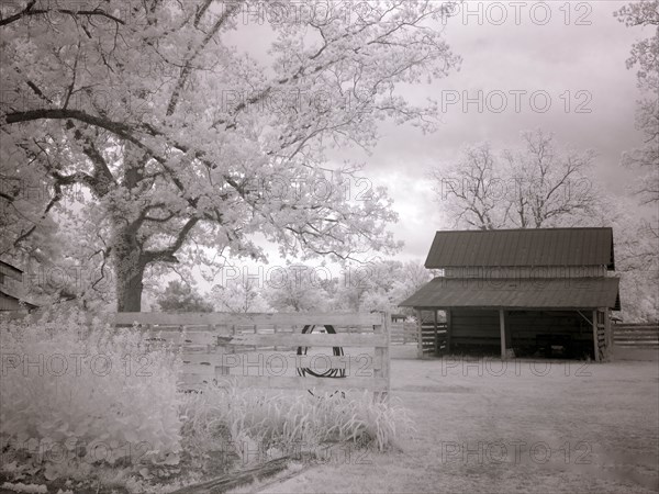 Meadowbank Farm 2010