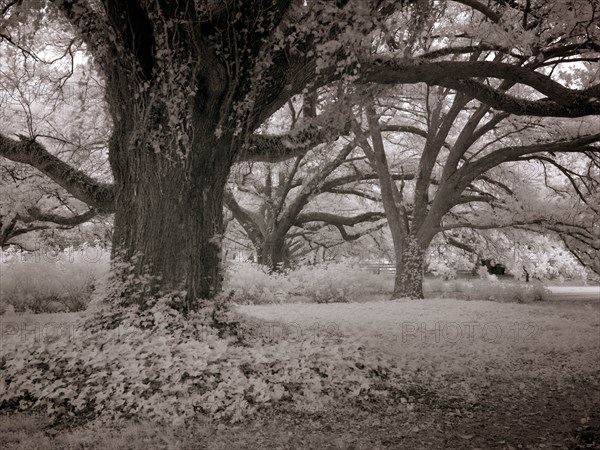 Meadowbank Farm 2010