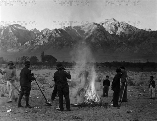 Burning leaves, autumn dawn 1943