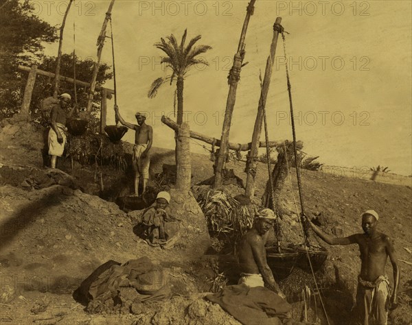 Men standing next to a series of shadoofs (shadufs), devices which lift water from a stream or well for use in irrigation. 1870