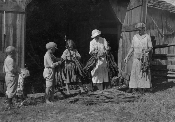 Mrs. J.L. Hazel and children stripping tobacco. 1917