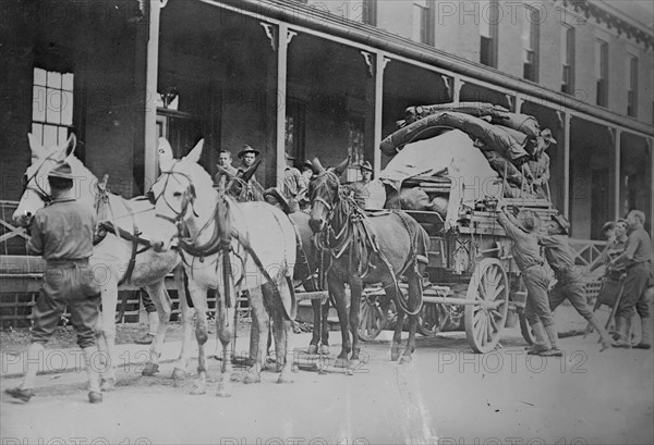 Mule team of 12th Infantry pulling loaded wagon on hike to Pine Plains 1908