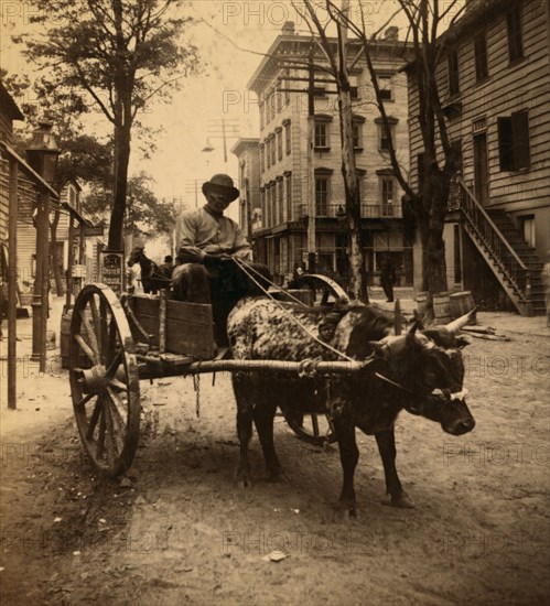 The Lightning Express, Savannah, Ga.  1886