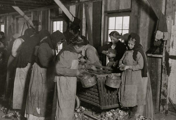 8 year old shucks 6 or 7 pots of oysters a day  at a canning company.  1911