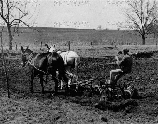 One of the boys disking the ground on the farm. Pauls Valley Training School 1917