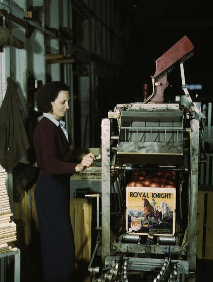 Crating Oranges 1943