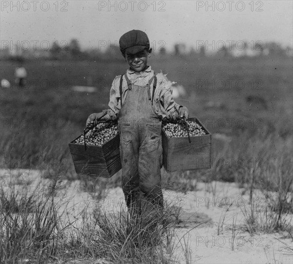 Peula Amava, 8 years old carries the cranberries and tends baby between times.  1910