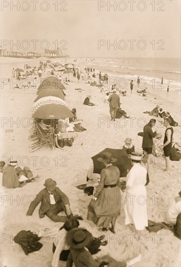 Picnic in Long Beach