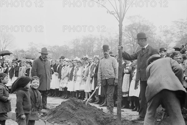 Arbor Day New York School