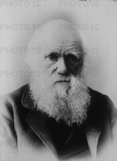 Portrait of Charles Darwin