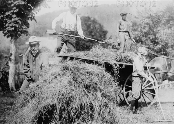 President Coolidge Loading Hay