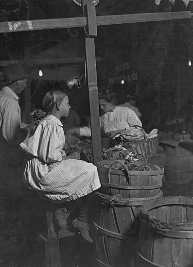 Radishes! Penny a bunch! Sixth St. Market, Cincinnati. 10 P.M. Saturday. Boys and girls sell all day, and until 11 P.M. 1908