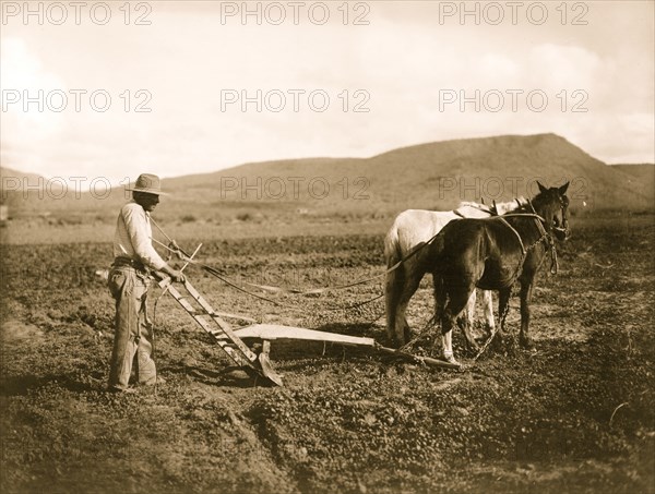 Sacaton Indian Reservation. Indian plowing his land 1920