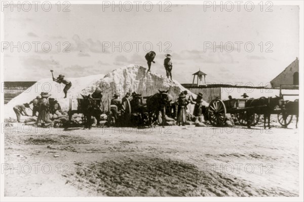 Salt mining, Turks and Caicos Islands, Jamaica 1910