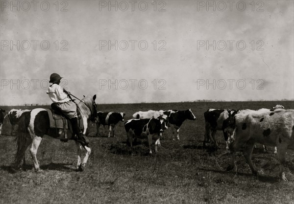 Sarah Crutcher, 12-year-old girl herding cattle. 1917