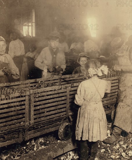 African American Boy works as an Oyster Shucker 1913