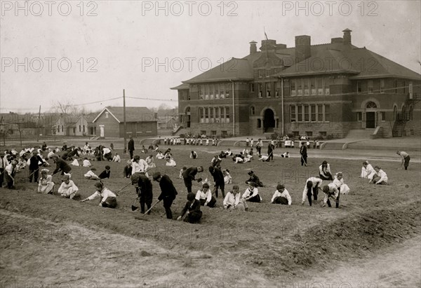 School garden - Jefferson School. 1917