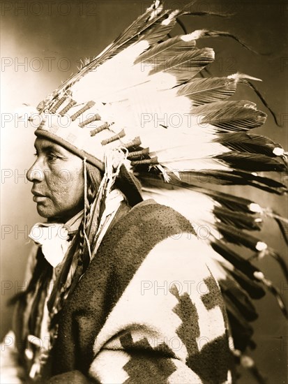 Sego--Shoshone Indian, 1899