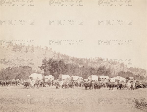 Freighting in the Black Hills 1890