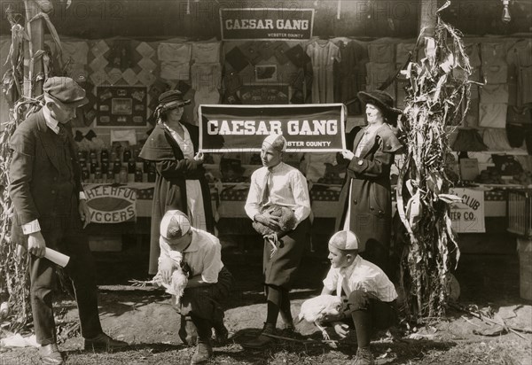 Some of the "Caesar Gang" boys demonstrating how to cull chickens to improve quality and quantity of product. Under direction of J. A. Wolfram County Agent, Webster Co. W. Va. State 4 H Fair, Charleston, W. Va 1921