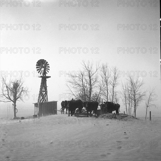 Stock watering hole almost completely covered by shifting topsoil.  1936