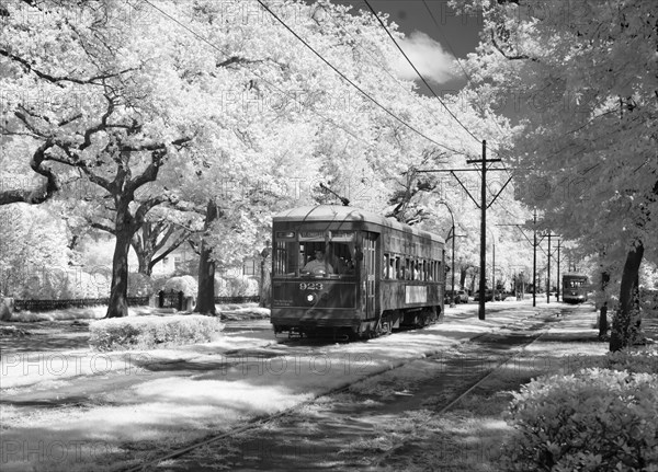 Streetcar, Charles Avenue, New Orleans, Louisiana 2009