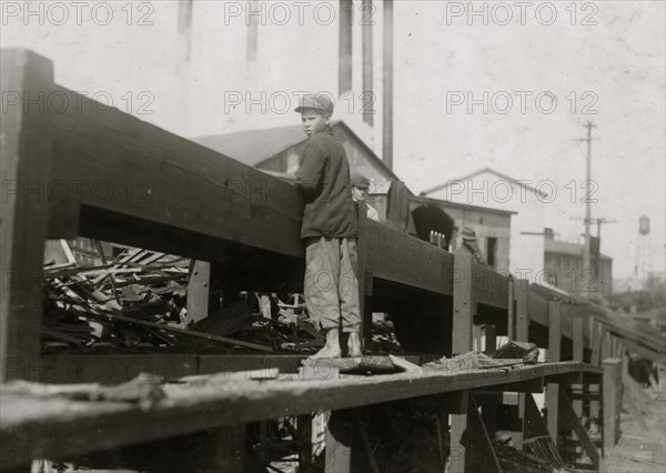 Picking Wood Slabs 1914