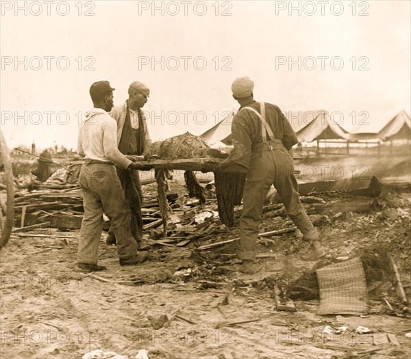 Galveston disaster, carrying dead body to fire to be burned 1900